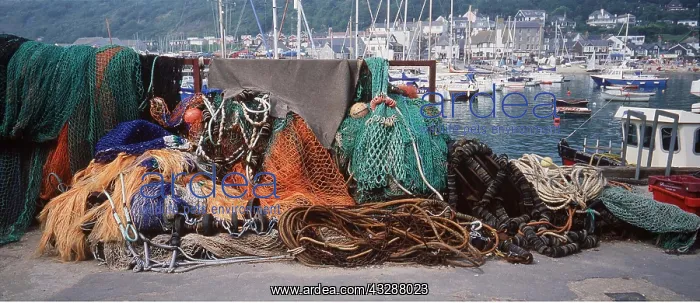 : DORSET - Fishing Port and fishing nets : DORSET - Fishing Port and fishing nets