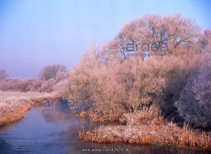  : DORSET- River Stour at Sturminster Marshall