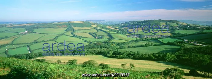 : Dorset UK - patchwork farming landscape. View from : Dorset UK - patchwork farming landscape. View from