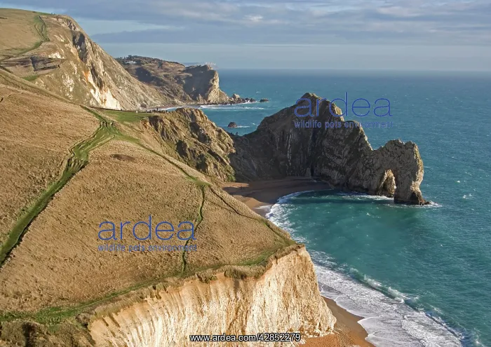  : Dorset World Heritage coast, just west of Lulworth
