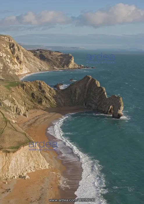 : Dorset World Heritage coast, just west of Lulworth : Dorset World Heritage coast, just west of Lulworth