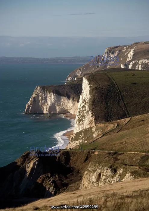 : Dorset World Heritage coast, just west of Lulworth : Dorset World Heritage coast, just west of Lulworth
