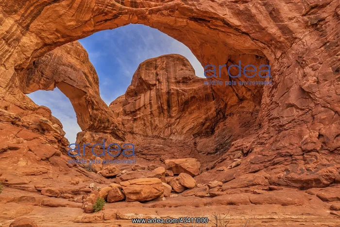 : Double Arch, Arches National Park, Utah : Double Arch, Arches National Park, Utah