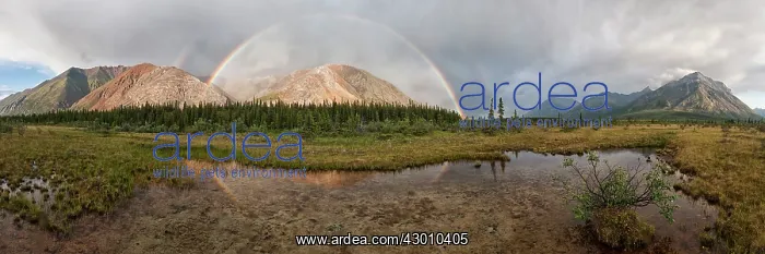 : Double Rainbow over coloured mountains Boreal Forest : Double Rainbow over coloured mountains Boreal Forest