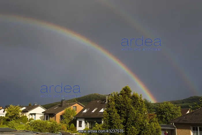 : Double Rainbow - during summer storm, over residential : Double Rainbow - during summer storm, over residential