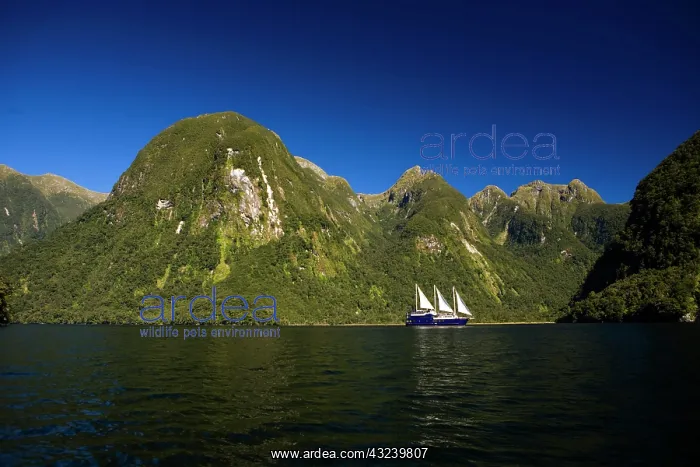 : Doubtful Sound, New Zealand. The remote : Doubtful Sound, New Zealand. The remote
