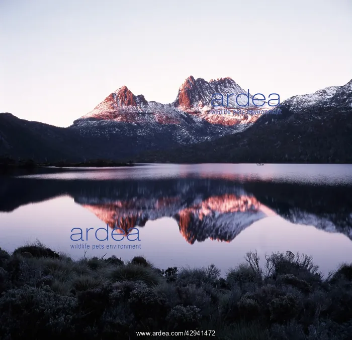 : Dove Lake, the classic view..Cradle Mountain-Lake : Dove Lake, the classic view..Cradle Mountain-Lake