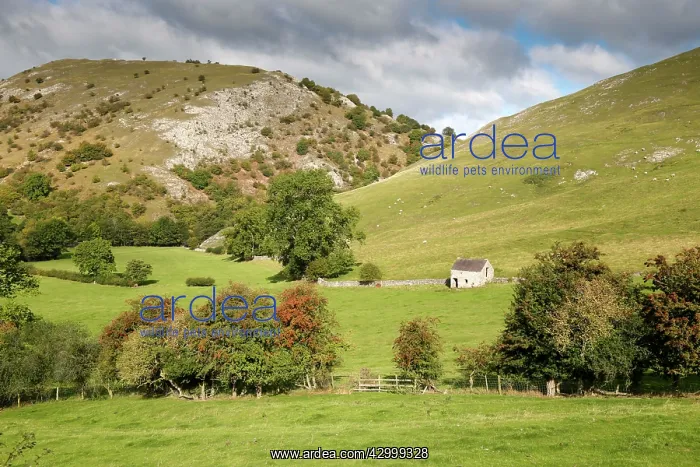 : Dovedale - Derbyshire - Autumn : Dovedale - Derbyshire - Autumn
