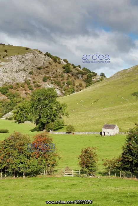 : Dovedale - Derbyshire - Autumn : Dovedale - Derbyshire - Autumn