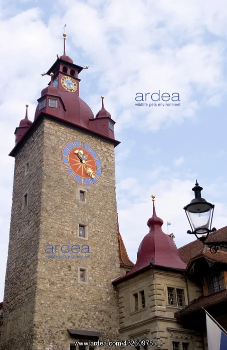 : Downtown city scene of Lucerne Switzerland : Downtown city scene of Lucerne Switzerland