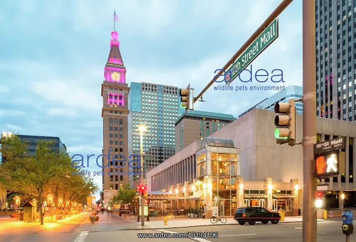 : Downtown, Denver, Colorado, USA, North America : Downtown, Denver, Colorado, USA, North America