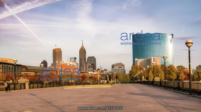 : Downtown Indianapolis, White River State Park, Indianapolis : Downtown Indianapolis, White River State Park, Indianapolis