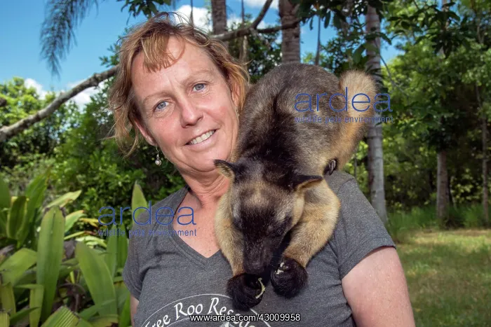 : Dr Karen Coombes carer from Tree Kangaroo Rescue Centre : Dr Karen Coombes carer from Tree Kangaroo Rescue Centre