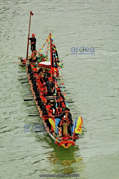 : Dragon boat, Li River, Guilin, China, Asia : Dragon boat, Li River, Guilin, China, Asia
