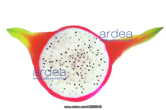 : Dragon fruit : Dragon fruit