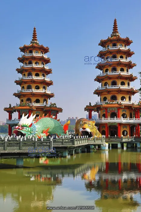 : Dragon and Tiger Pagodas temple at the Lotus : Dragon and Tiger Pagodas temple at the Lotus