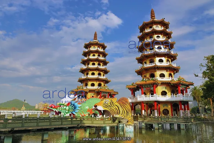 : Dragon and Tiger Pagodas Temple at Lotus Pond in Kaohsiung : Dragon and Tiger Pagodas Temple at Lotus Pond in Kaohsiung