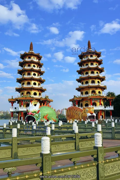 : Dragon and Tiger Pagodas Temple at Lotus Pond in Kaohsiung : Dragon and Tiger Pagodas Temple at Lotus Pond in Kaohsiung