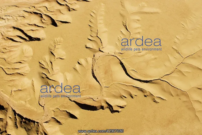 : Drainage Patterns on the ancient Namib Plains - : Drainage Patterns on the ancient Namib Plains -