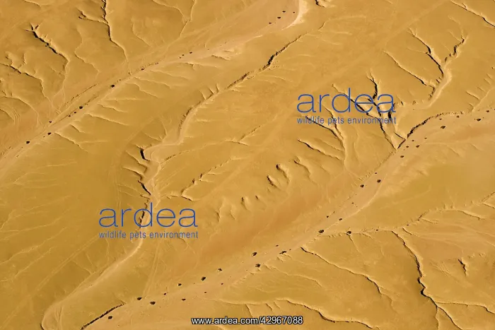 : Drainage Patterns on the ancient Namib Plains - : Drainage Patterns on the ancient Namib Plains -