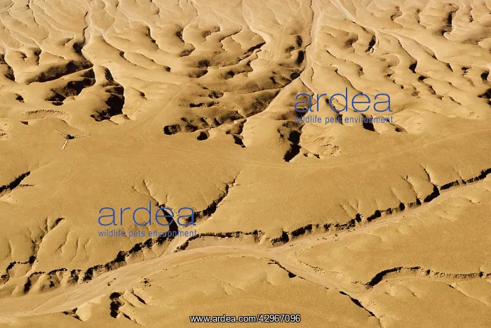 : Drainage Patterns on the ancient Namib Plains - : Drainage Patterns on the ancient Namib Plains -