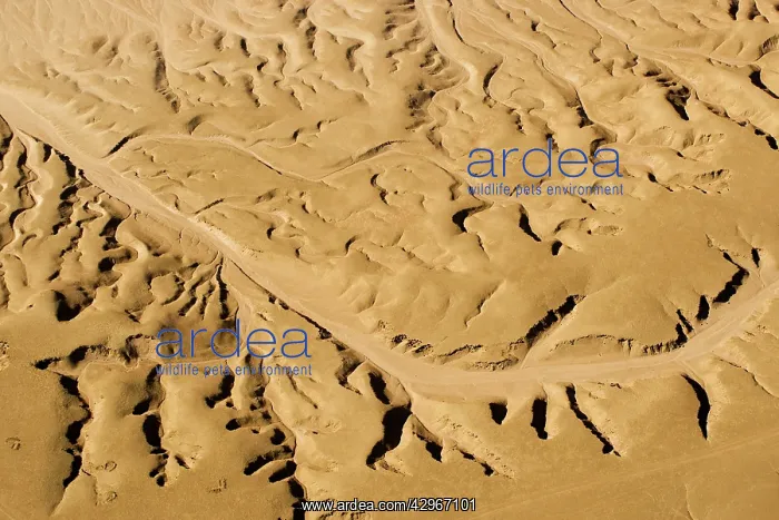 : Drainage Patterns on the ancient Namib Plains - : Drainage Patterns on the ancient Namib Plains -