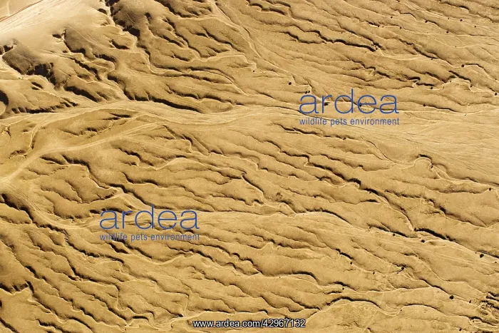 : Drainage Patterns on the ancient Namib Plains - : Drainage Patterns on the ancient Namib Plains -