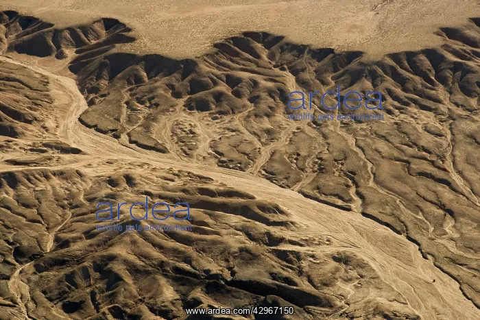 : Drainage Patterns on the ancient Namib Plains - : Drainage Patterns on the ancient Namib Plains -