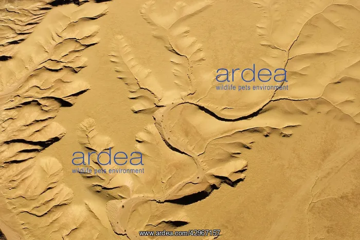 : Drainage Patterns on the ancient Namib Plains - : Drainage Patterns on the ancient Namib Plains -