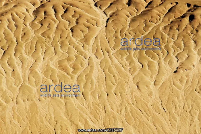 : Drainage patterns on the ancient plains of the Namib : Drainage patterns on the ancient plains of the Namib