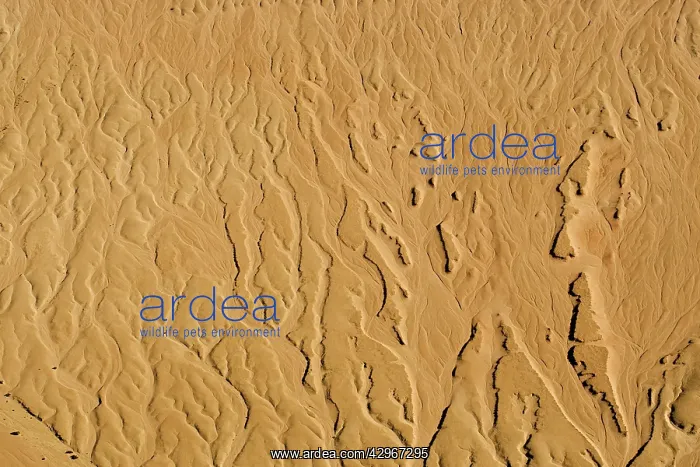 : Drainage patterns on the ancient plains of the Namib : Drainage patterns on the ancient plains of the Namib