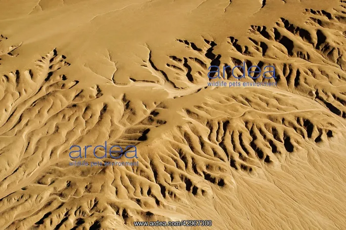 : Drainage patterns on the ancient plains of the Namib : Drainage patterns on the ancient plains of the Namib