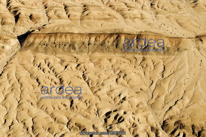  : Drainage patterns blocked by a black dolerite dyke