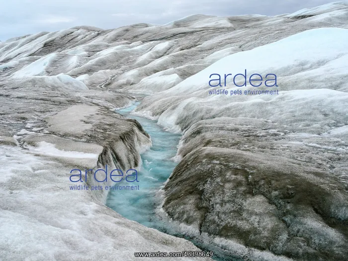 : Drainage system on the surface of the ice sheet : Drainage system on the surface of the ice sheet