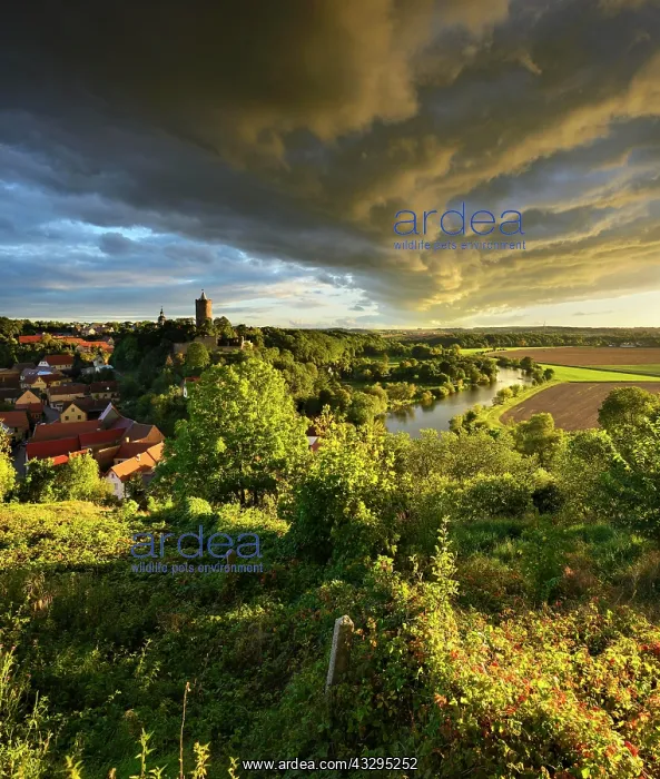 : Dramatic atmosphere of clouds over Sch&, x1ae8b5;rg : Dramatic atmosphere of clouds over Sch&, x1ae8b5;rg
