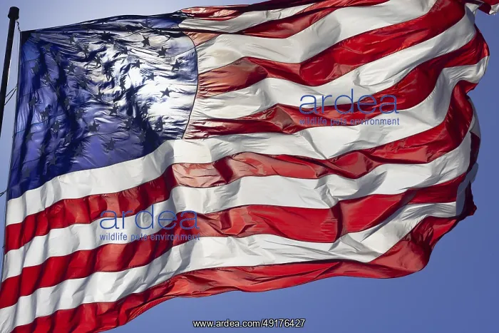 : Dramatic backlit american flag waving in the wind : Dramatic backlit american flag waving in the wind