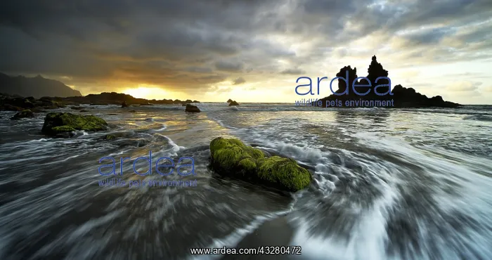 : Dramatic cloud atmosphere with rock formation at : Dramatic cloud atmosphere with rock formation at