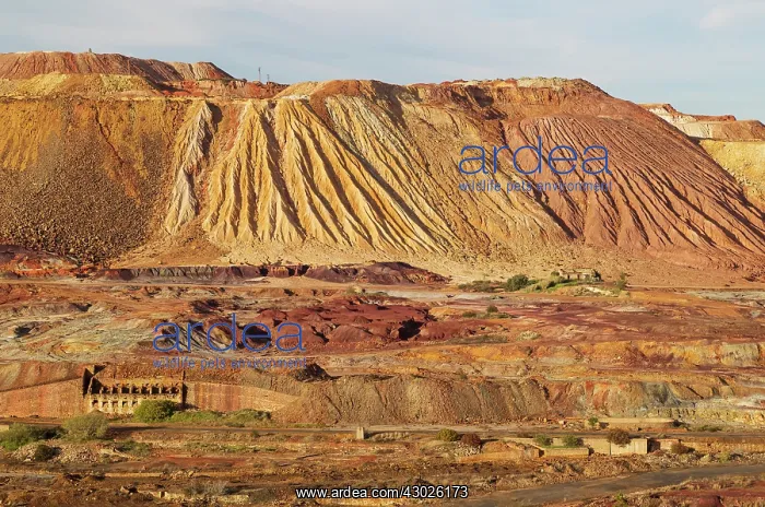 : Dramatic landscape of mineral-rich ground and rock sca : Dramatic landscape of mineral-rich ground and rock sca