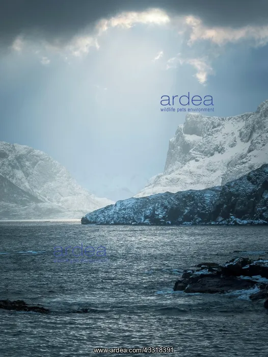 : Dramatic lighting mood in the clouds above the winterly : Dramatic lighting mood in the clouds above the winterly