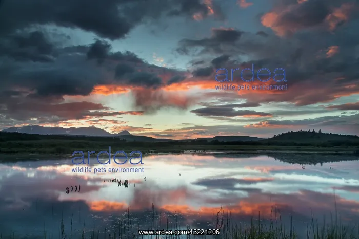 : Dramatic sunset clouds from passing thunderstorm : Dramatic sunset clouds from passing thunderstorm
