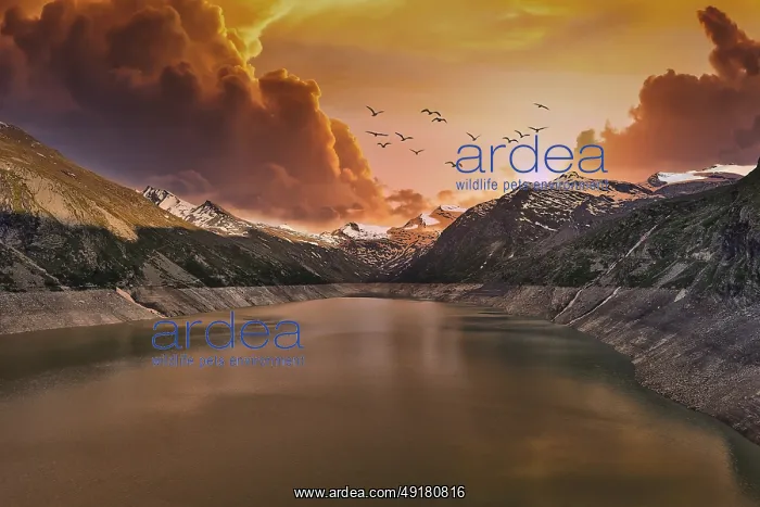 : Dramatic sunset over a mountain lake with flying birds and clouds : Dramatic sunset over a mountain lake with flying birds and clouds