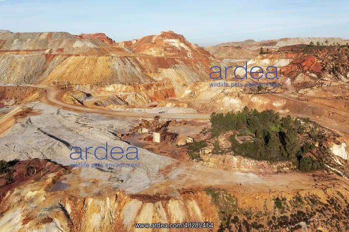 : Dramatically scarred landscape of mineral-rich ground : Dramatically scarred landscape of mineral-rich ground