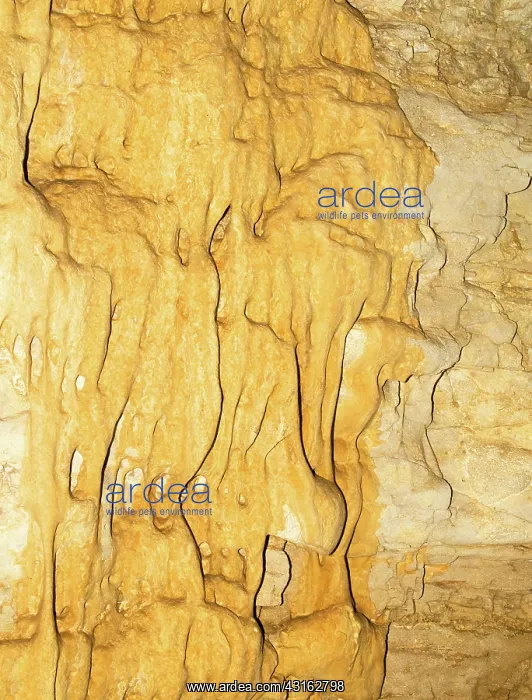 : Drapery Formations in Carlsbad Caverns : Drapery Formations in Carlsbad Caverns
