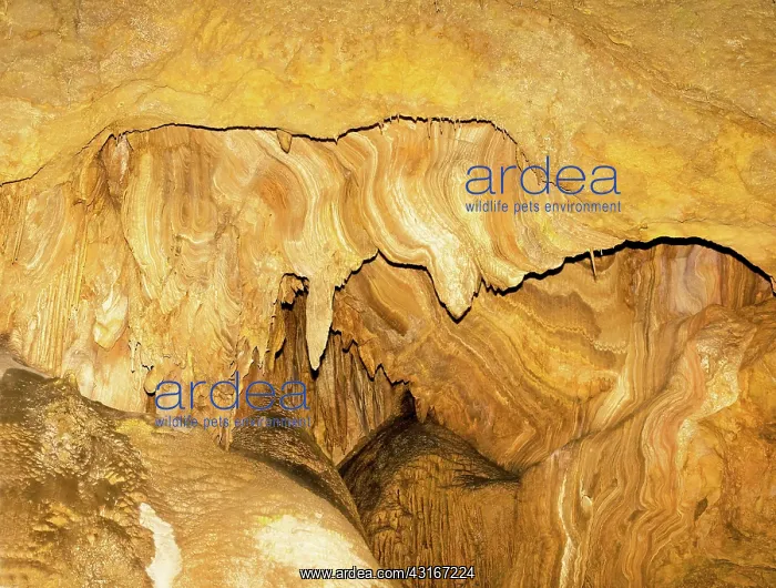 : Drapery Formations in Carlsbad Caverns : Drapery Formations in Carlsbad Caverns