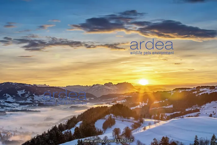 : Dreamlike winter landscape at sunset with a view : Dreamlike winter landscape at sunset with a view