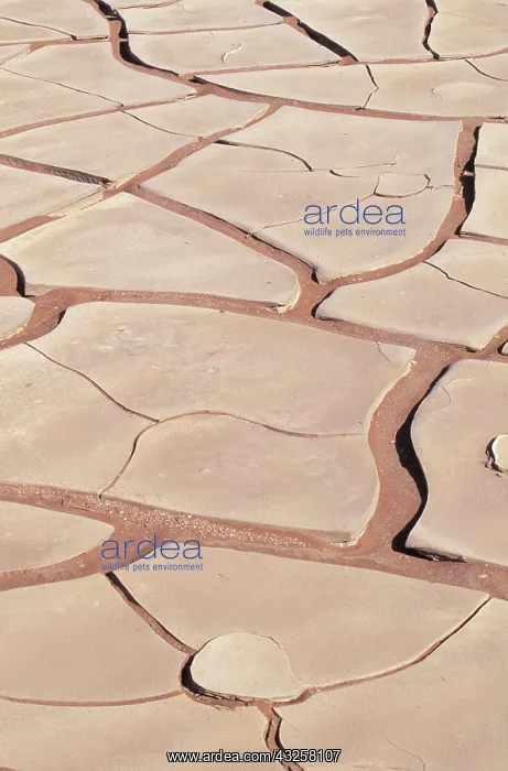  : Dried and cracked clay, Sossusvlei Region