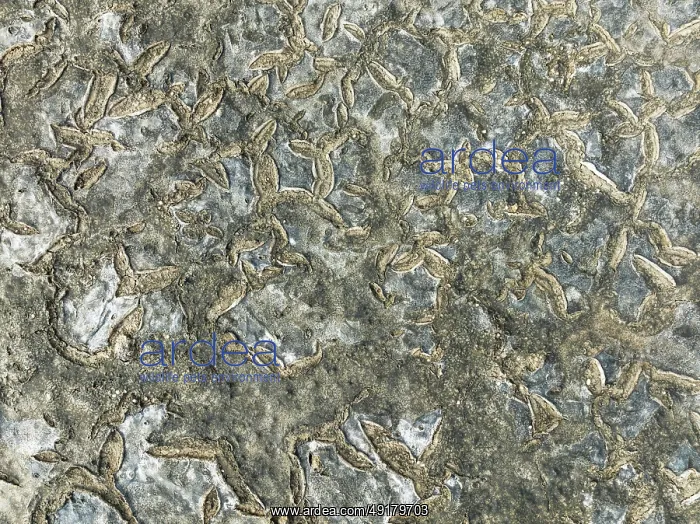 : Dried mud in the marshland of the Bahía de Cádiz Nature Reserve : Dried mud in the marshland of the Bahía de Cádiz Nature Reserve
