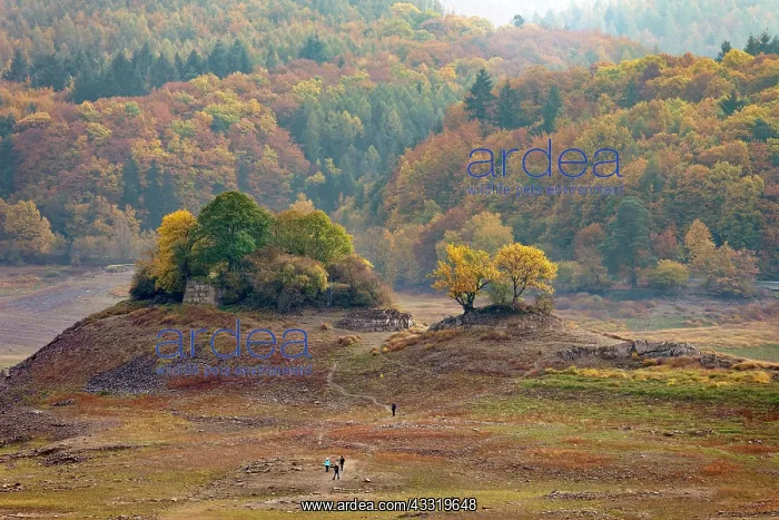 : Dried-out reservoir, Altbringhausen in the Kellerwald : Dried-out reservoir, Altbringhausen in the Kellerwald