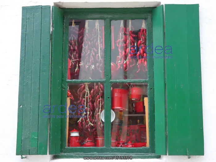 : Dried peppers through a window, Hondarribia (Basque : Dried peppers through a window, Hondarribia (Basque