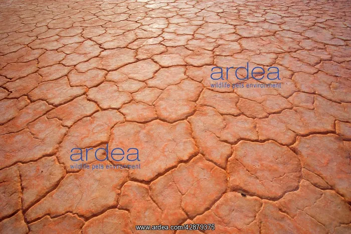 : Dried-up earth - the hot sun in the Simpson Desert : Dried-up earth - the hot sun in the Simpson Desert